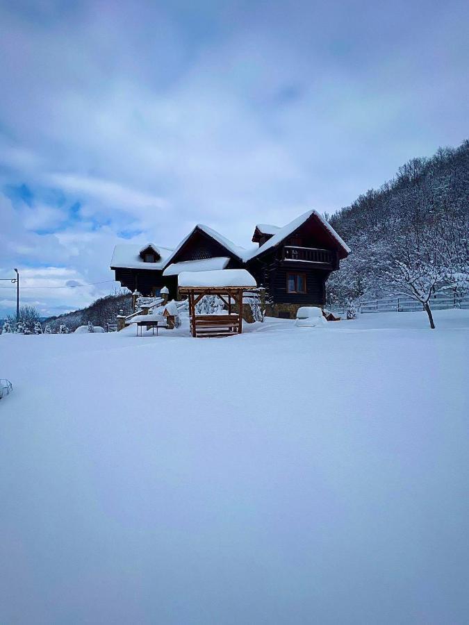 Case de vacanță Rustic